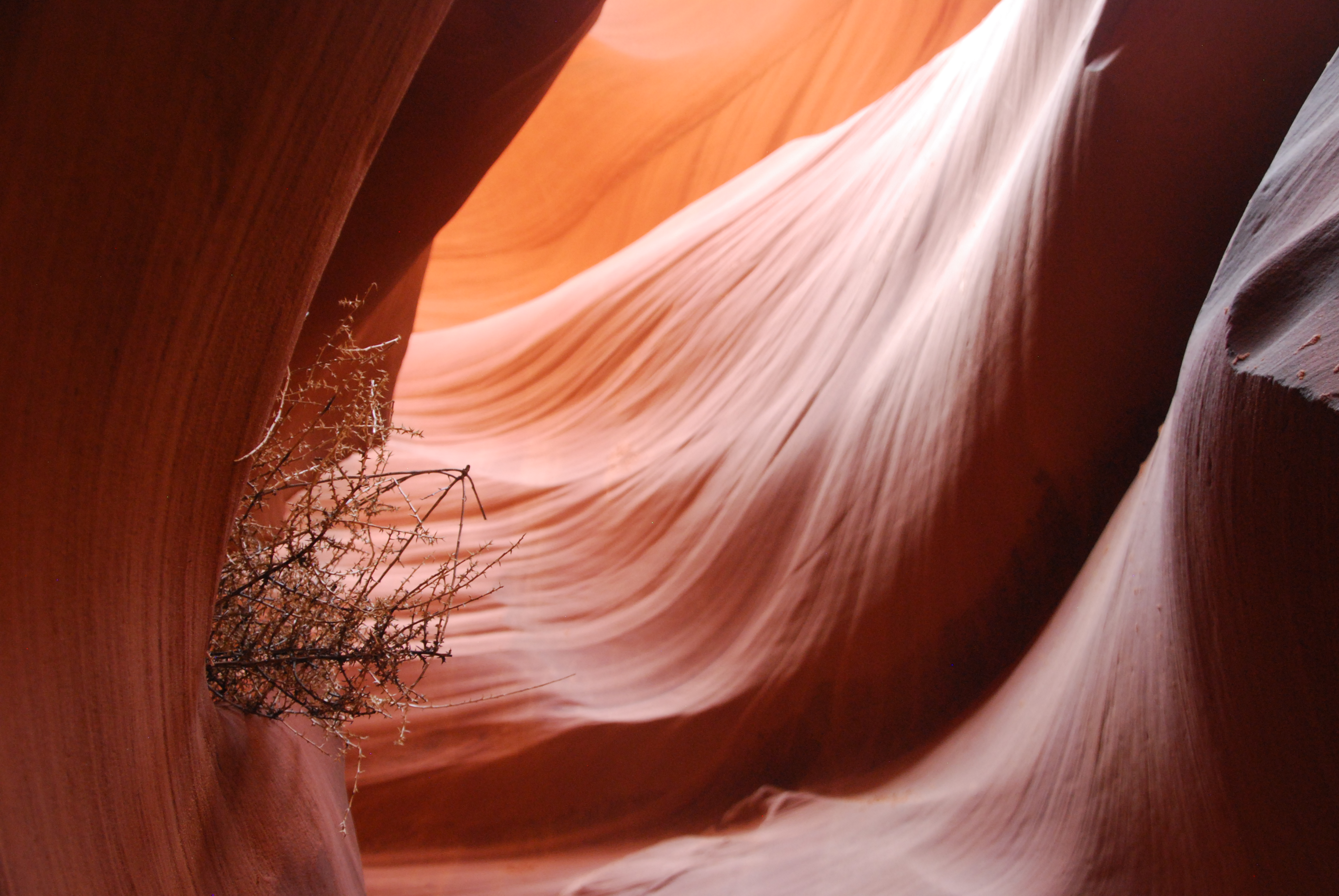 Lower Antelope Canyon, photographed by Shelley Adina