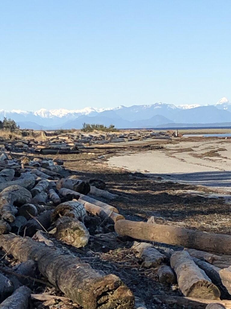 Saratoga Beach, BC